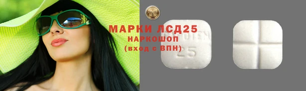 PSILOCYBIN Липки