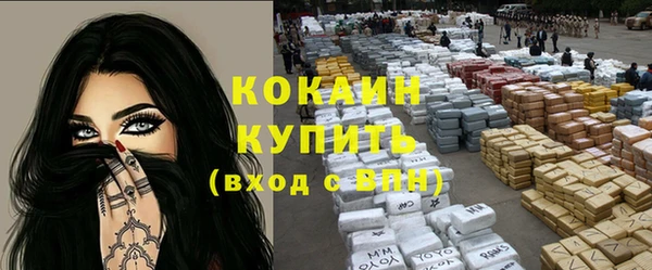 шишки Тавда