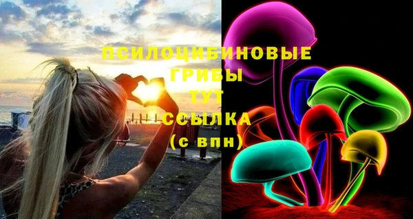 PSILOCYBIN Липки