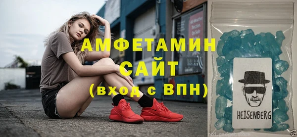 ГАЛЛЮЦИНОГЕННЫЕ ГРИБЫ Тайга