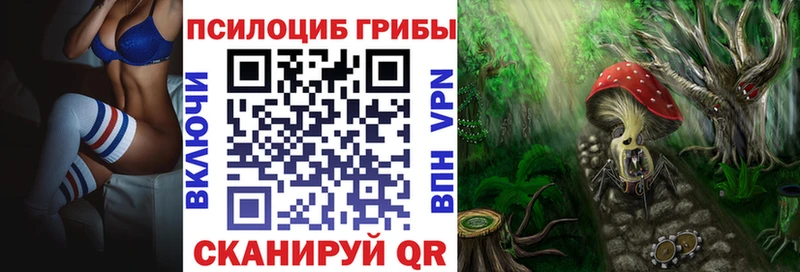 hydra ONION  Суздаль  Галлюциногенные грибы мухоморы 